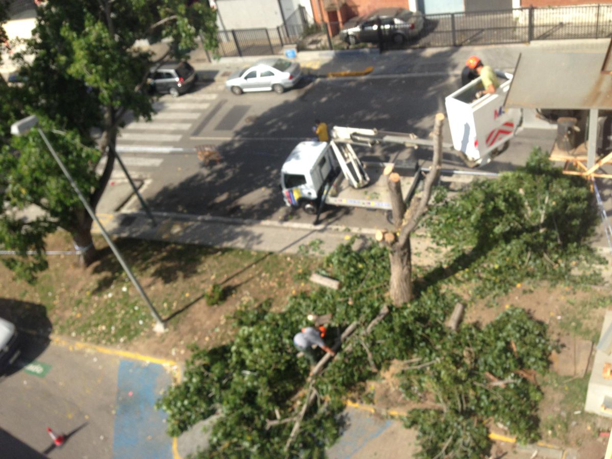 lahormigoneracc's tweet photo. Hola @LHAjuntament @Tamoil_ESP 
Porqué han talado completamente estos dos chopos de la calle Juan Ramón Jiménez de Hospitalet? 
Sobretodo cuando la poda anual hubiera sido mucho menos cruel y más respetuosa con la biodiversidad... https://t.co/i86VUolhyg