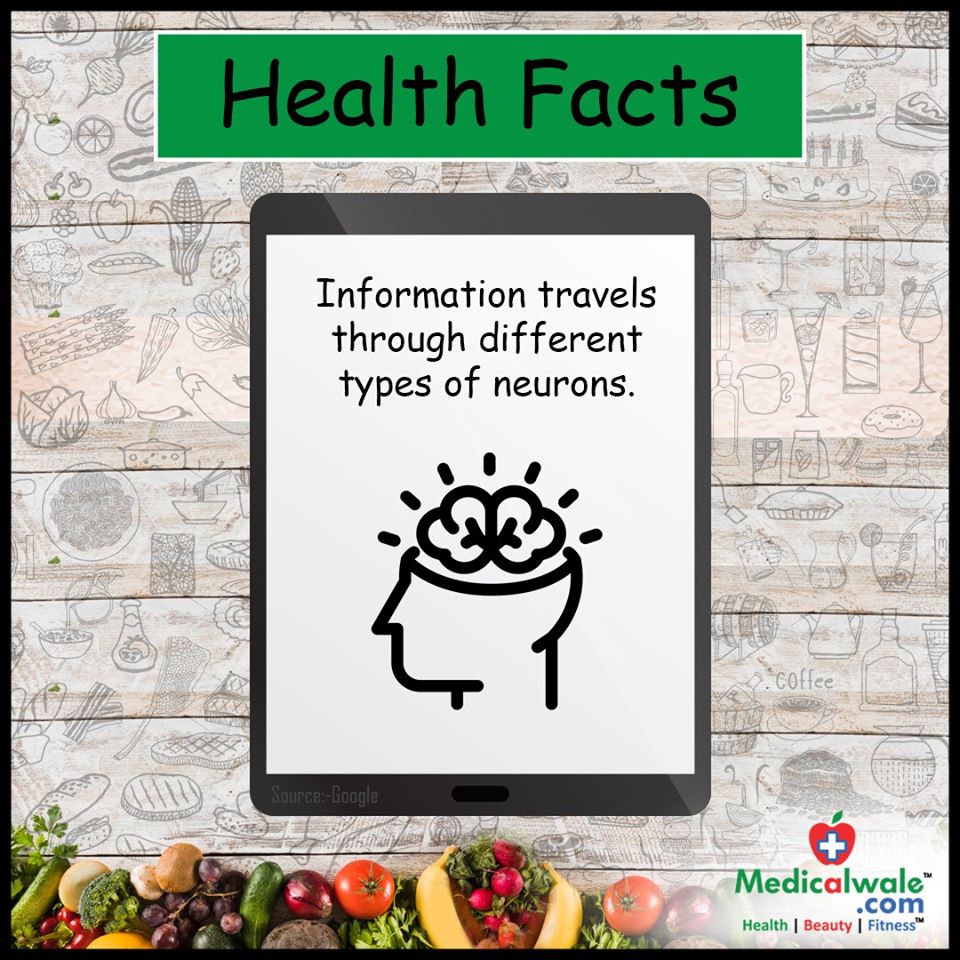 Health Facts!

Download the app to know more about your health - onelink.to/6uteje

#Medicalwale #AapKeHealthKaSaathi  #HealthFacts #HumanFacts #Information #Neuron #Science #Neurology #Neuroscience