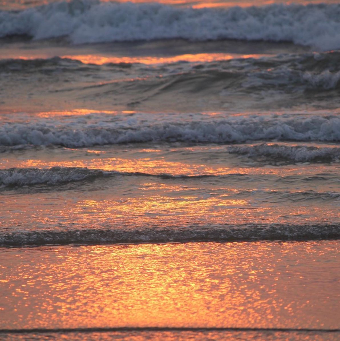 Kanoa Living tweet media