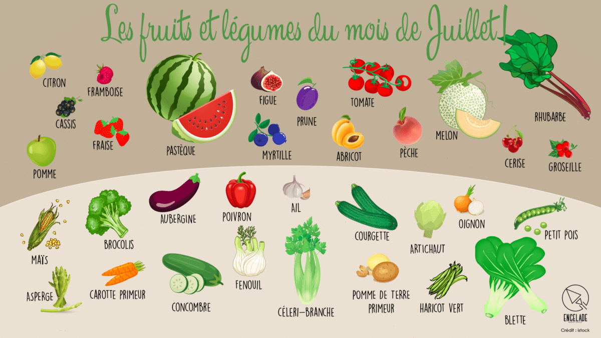 Qu'allez-vous retrouver dans vos assiettes en #juillet ? Découvrez les #fruits et #légumes du mois !