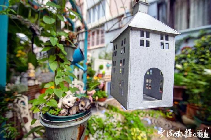 InZhejiang's tweet photo. #LifeinZhejiang A lady in Ningbo lives a poetic life. She spent three years making a dream garden for her family. Do you want to go for a visit? (via Qianjiang Evening News) https://t.co/r5Q9CLlAZe