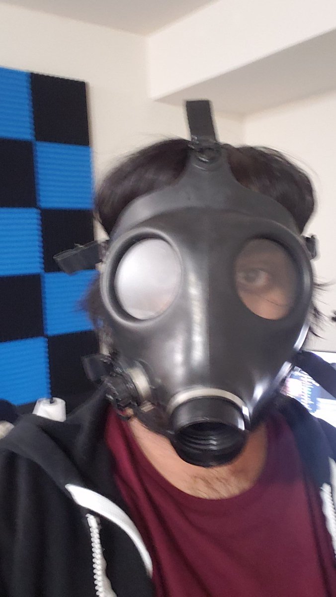 Fun fact, I'm deathly terrified of larger than average bugs, so if I see one in my house, I put on this mask, because it makes me feel strong, and then I kill the shit out of it