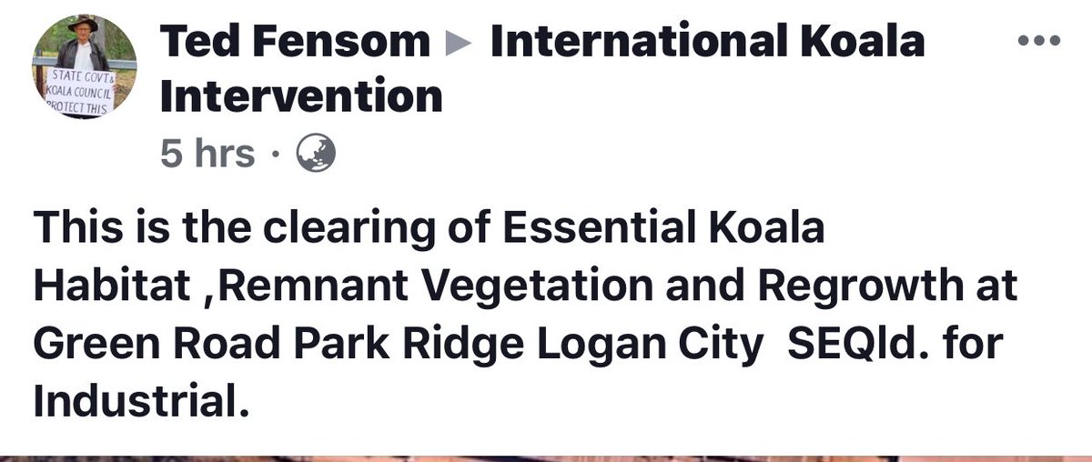 Wentworth Falls This Was Essential Koala Habitat In Logan Se Qld Another Local Extinction Koala In 19 Logan City Council Has Been Sacked By Queensland S Local Government Minister