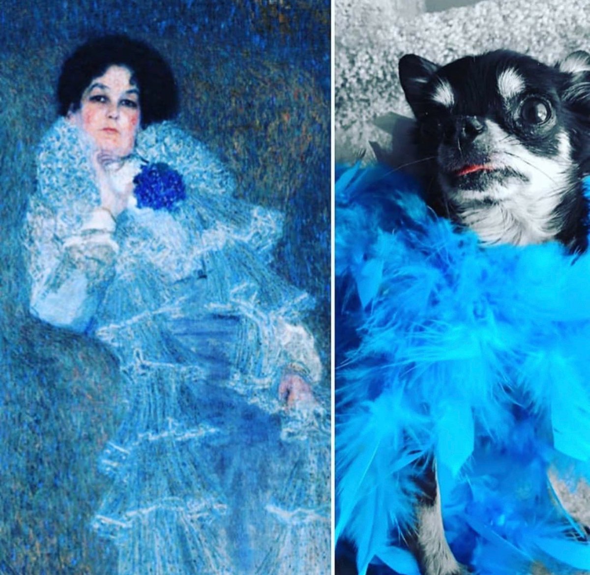 Historyofartday's tweet photo. Dogs meet art history!

Instagrammer If Dogs Were Art pairs pictures of puppies with historic artworks... 

What do you think of this combination?

🎨 Gustav Klimt, 'Portrait of Marie Henneberg', @belvederemuseum 

See more from If Dogs Were Art here: https://t.co/slGzI1Uv9f https://t.co/HNAfpLZQ9g