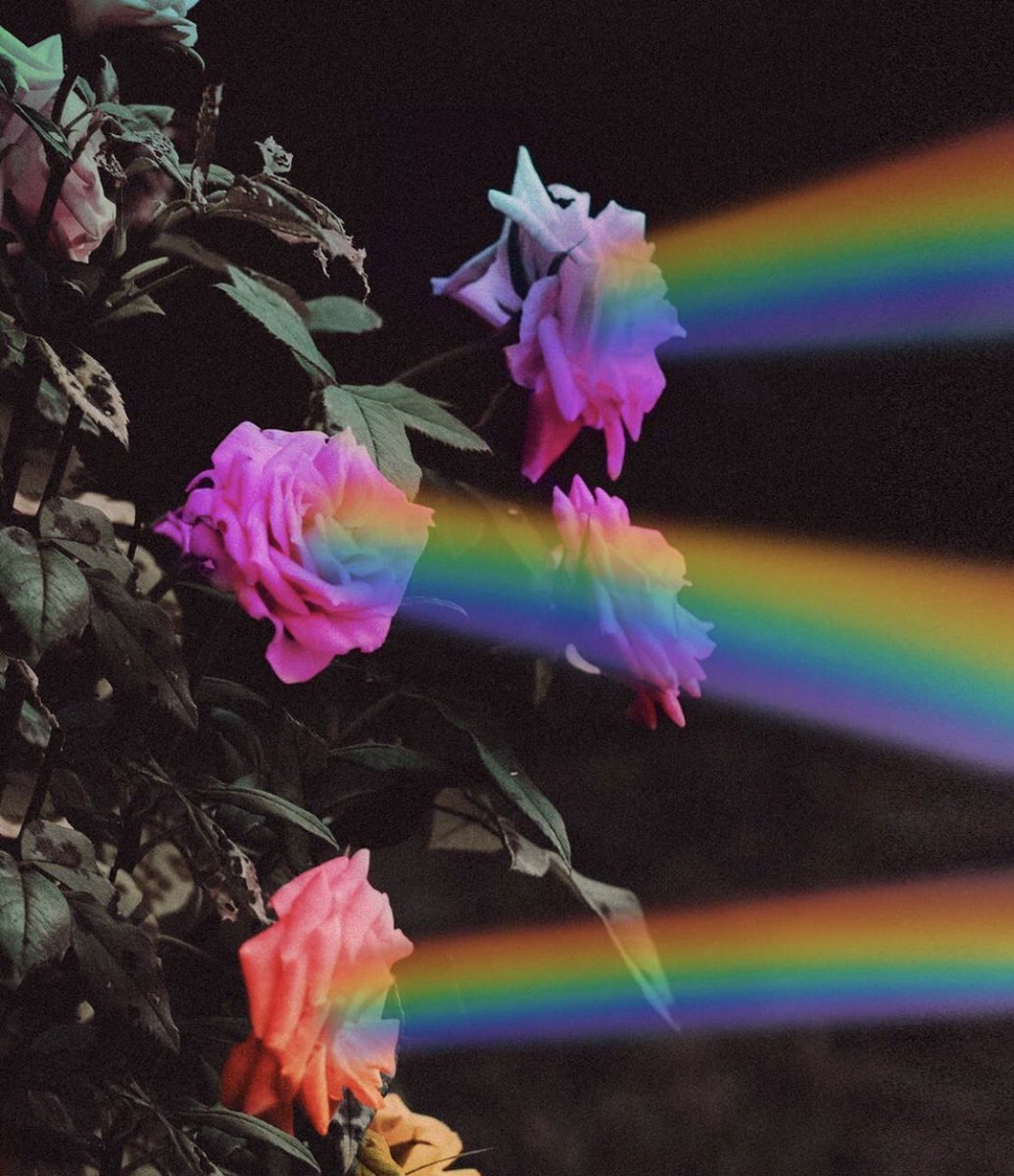 ARTtvComTr's tweet photo. Sanatın Renkleriyle Mutlu Haftalar❤️🧡💛💚💙💜
#ind0 #pazartesi https://t.co/qacDM5KEyx