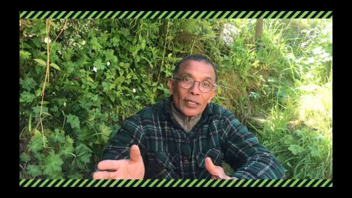 A short video talking about my farming story and the benefits of transitioning towards plant-based farming. <a href="/ajpReact/">AnimalJusticeProject</a> vimeo.com/431593355 

#farmingforfuture #plantbased #kumarsdosabar #farming
