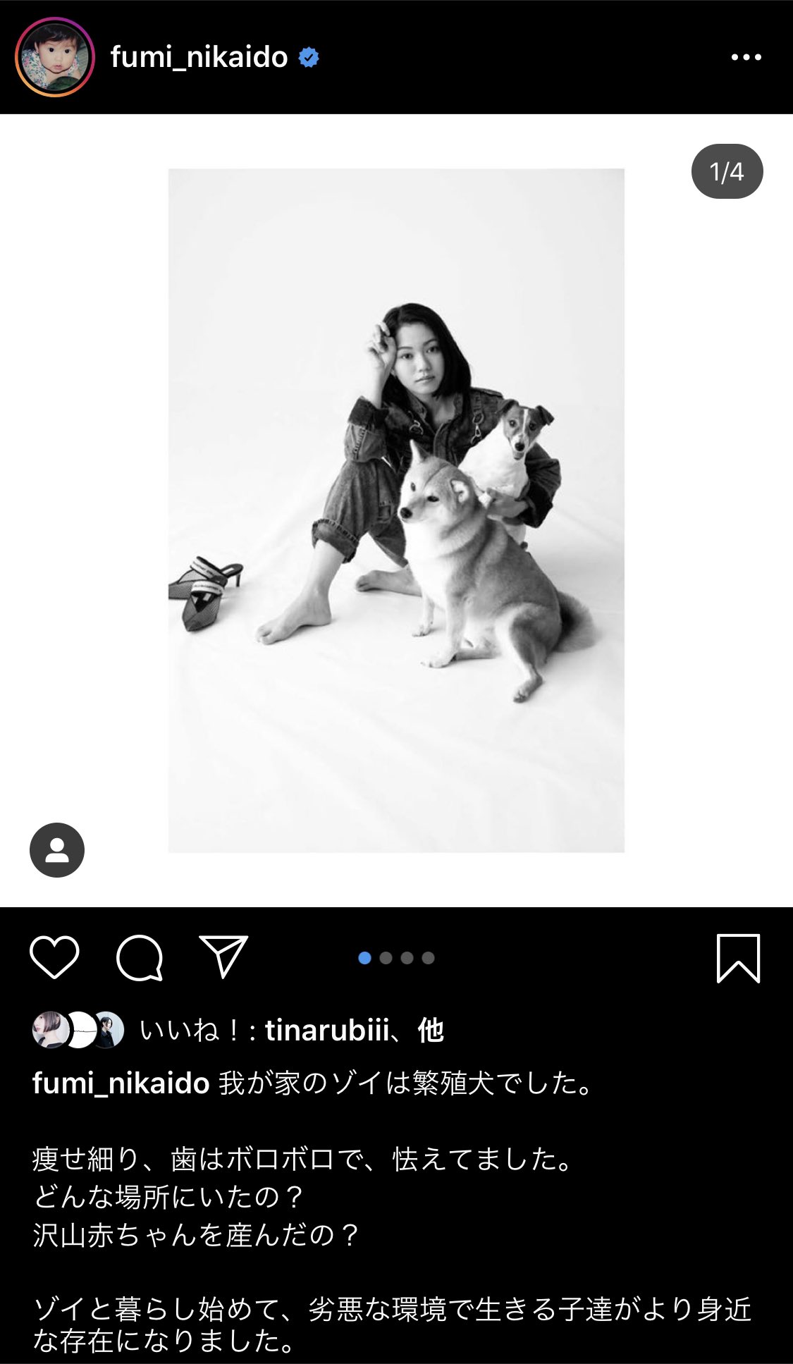 Twitter 上的 さえりぐ 二階堂ふみさんのインスタを見て 子どもを産むための繁殖犬 が今後さらに辛い環境に置かれる法案が決まりそうだと言うことを知って 今すぐできるメールアクションをしました すべての犬の母たちが 少しでも良い環境にいられるよう 詳細は