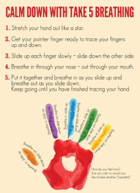HgsMentalhealth's tweet photo. Mindfulness can have so many calming benefits on your body which is so important when it comes to reducing stress and improving overall #wellbeing. Here's a brilliant book you can use as a parent with your child when doing #meditations and practising #Mindfulness @HarperGreen https://t.co/Etedncygrz