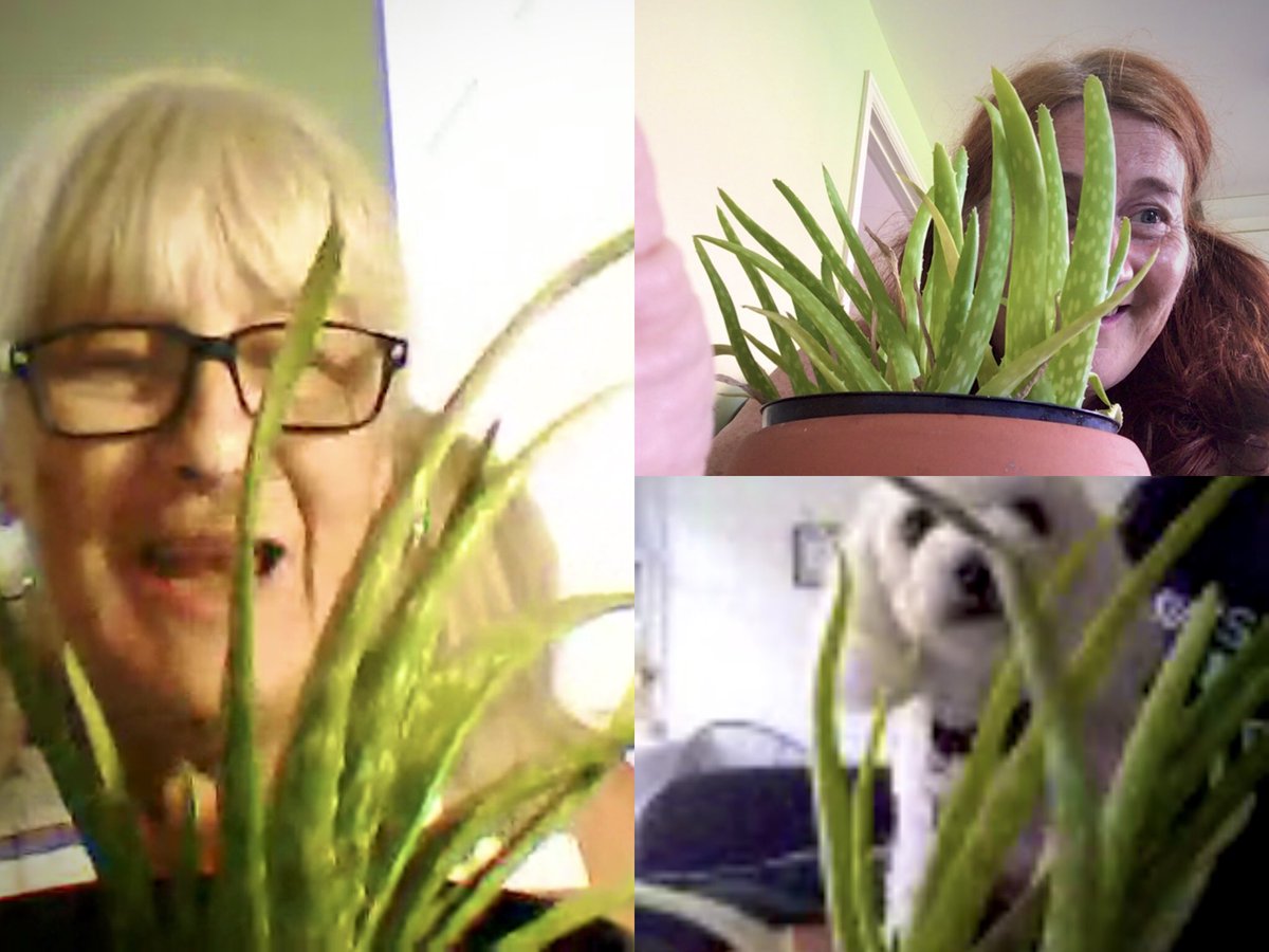 Bella’s lockdown holiday - day one: we did gardening