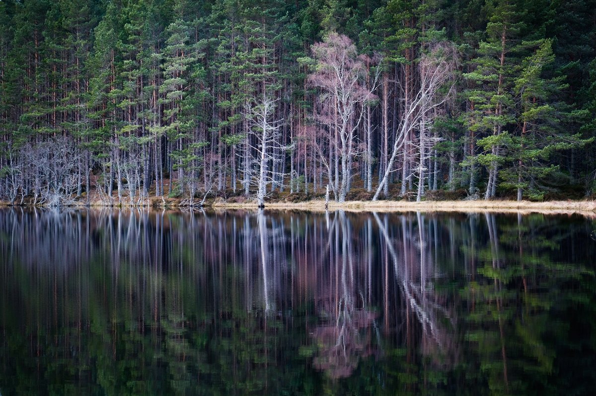 3/3 Remember that some car parks & many toilets may be closed.Let's show we can all take our litter home & behave responsibly. Take pride in our stunning landscapes as we become lucky enough to enjoy them once more, and show that we deserve to live in such a beautiful country.