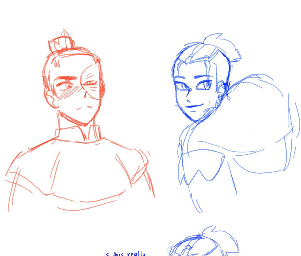 Zukka royalty AU where Sokka is northern water tribe prince and hates zuko at first cause he thinks he's a snob but zuko's just a shy and pinning for sokka,,, 