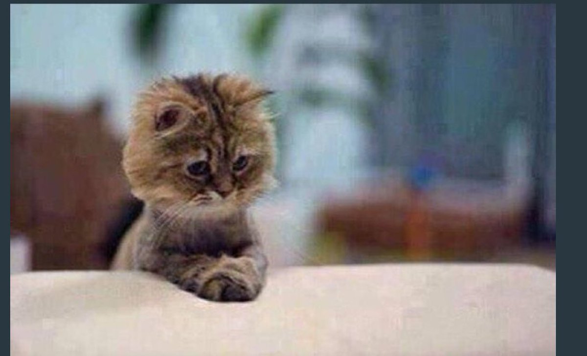 #المشروبات_الكحوليه
صار لي أكثر من سنه بتويتر وتوني الآن عرفت إنه إذا بتضغط على اللايك 3 مرات متواصله يتم نسخ التغريده كامله .