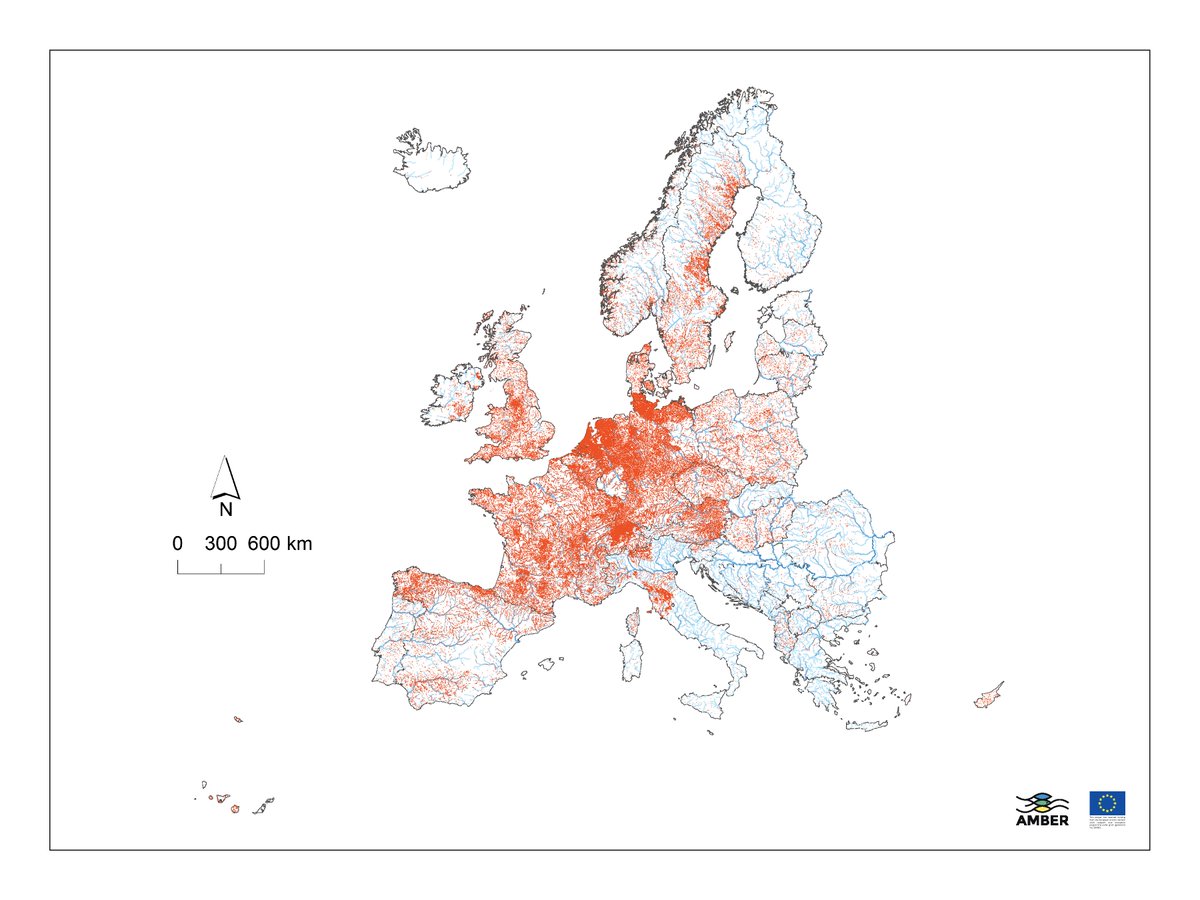 AMBERtools's tweet photo. BREAKING: Over 1 MILLION barriers fragment Europe's rivers! This scale of river fragmentation is alarming, making Europe the most obstructed river landscape in the world. 
Read this thread to learn more or check out the map for yourself
#amberfithydro2020
https://t.co/bEuDQ3UdrV https://t.co/zSPahWXRR8