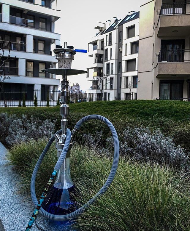 Shisha Express (pumpinmky) Twitter