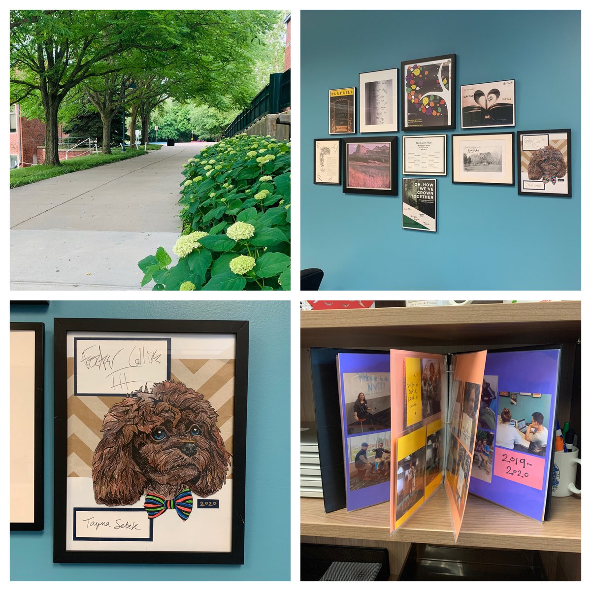 DWritingCenter's tweet photo. Caitie’s last day is tomorrow! Take a virtual peek at the mementos she left... The senior wall got its latest addition!!!, &amp; Caitie loves a good scrapbook, so naturally... 😍👋 https://t.co/0HtueWro5H