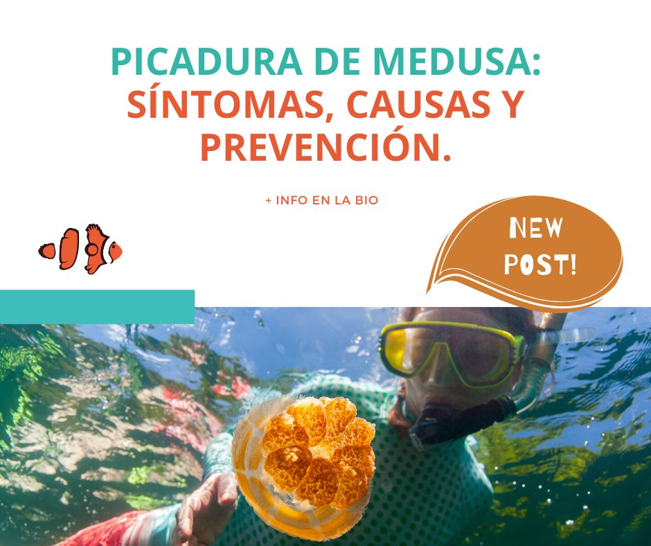 No te pierdas nuestros consejos de prevención ➡ mtr.cool/sdyhmtragl
#medusas #picaduras #jellyfish #swim