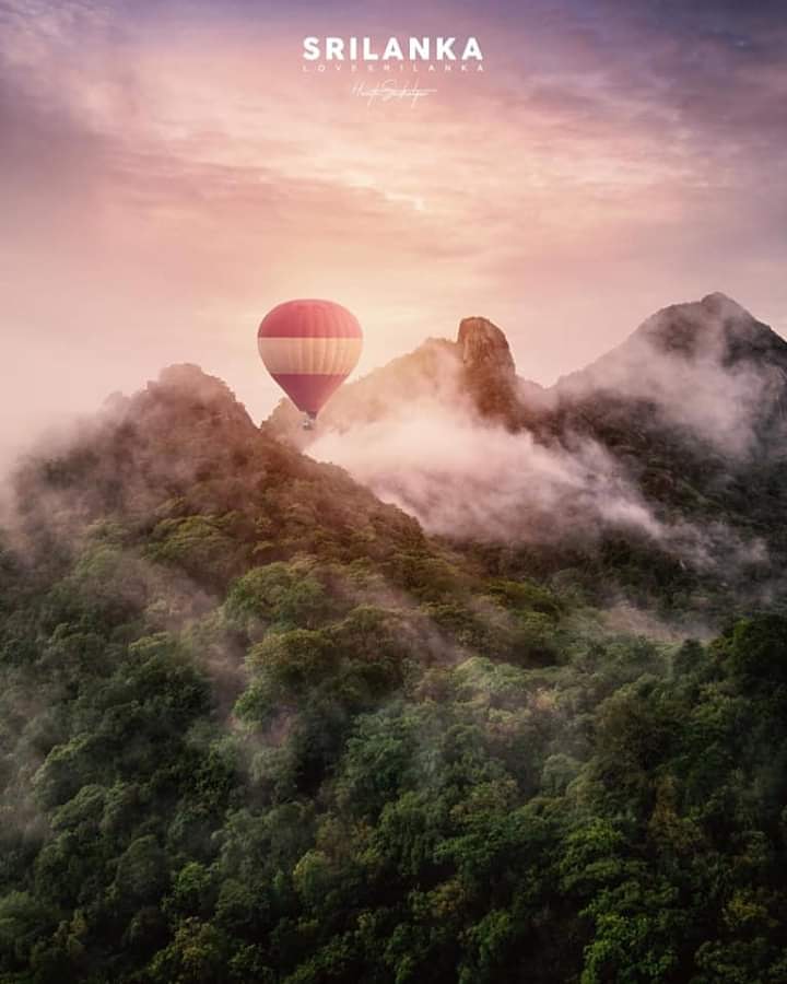 Diethelm_SL's tweet photo. What is in your travel bucket list? Comment below what adventures you'd like to do when in Sri Lanka. Book your journey of a lifetime with us.
Enquire now: enquiries@lk.diethelmtravel.com or Whatsapp us on +94772667131
.
📷 : Credits to the creators
.
#StaySafe #SriLanka https://t.co/muWillrZsU