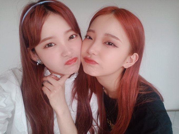 コスプレイヤーmam（まむ）のTwitter画像54