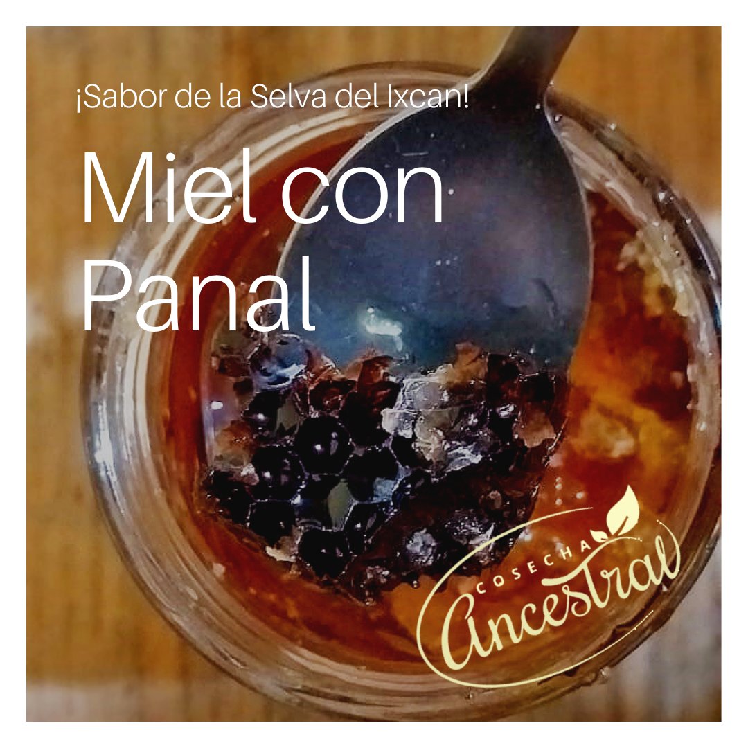 CosechAncestral's tweet photo. No te quedes sin tu miel, ultimas existencias
haz tu pedido al (502) 4196-3501
Cosecha Ancestral un estilo de vida orgánico🌱♻️💪 https://t.co/tgTNK5Ba4j