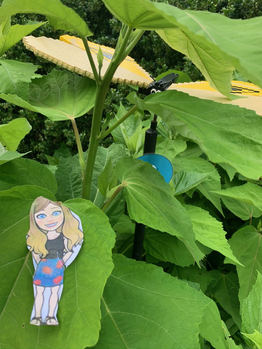 JulieFuhrer's tweet photo. Exploring the pollinator LEGO exhibit with flat @MsEvanson  at Heritage Plantation. @HarringtonHAWKS https://t.co/KwJ7hP3nnh
