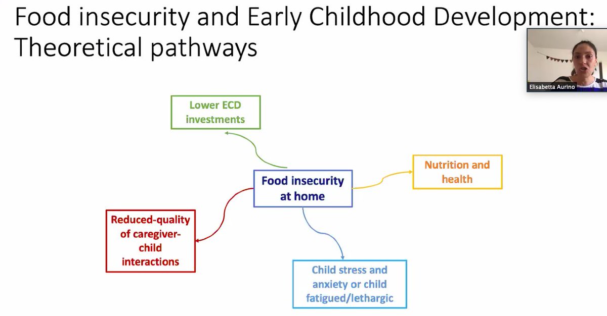 Not having enough food affects kids through multiple pathways, for example, they're aware of their perilous situation, which can put them under high chronic stress