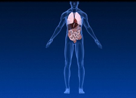 ChemistryDrug's tweet photo. https://t.co/8tsx26iwdU Dehydration can elevate lithium levels to dangerous levels. Lithium is also associated with kidney injury and thyroid imbalances – closely monitoring is required in such cases. #drug #drugresearch #drugdiscovery2020 https://t.co/flqEyK027u