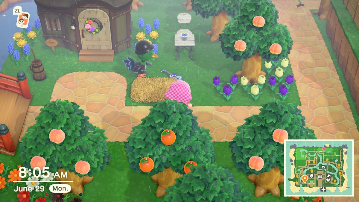 vgr_sam's tweet photo. My son is very musically gifted, he's going to Julliard #AnimalCrossing #ACNH #NintendoSwitch https://t.co/2XAfuzhPKR