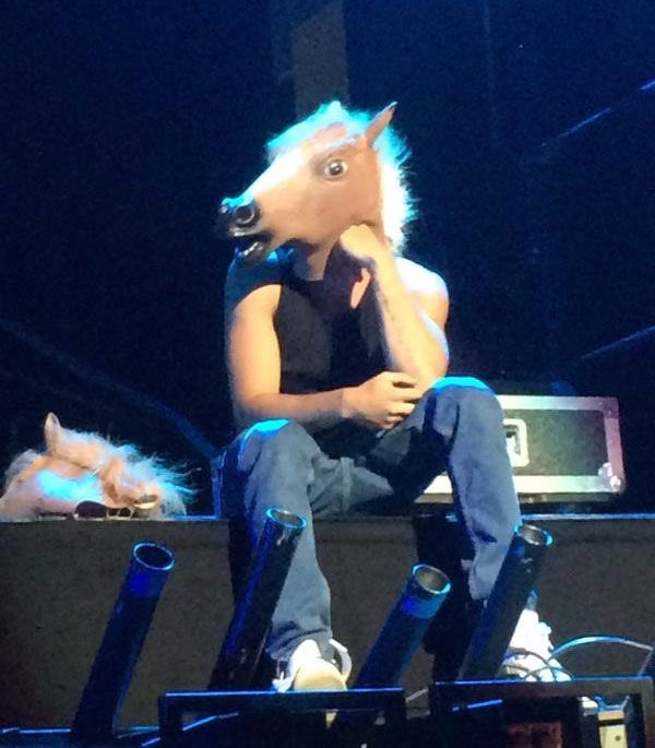 horse mask