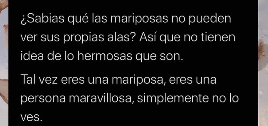 JeiParrass's tweet photo. #FelizLunes https://t.co/FFbqPKVxWP
