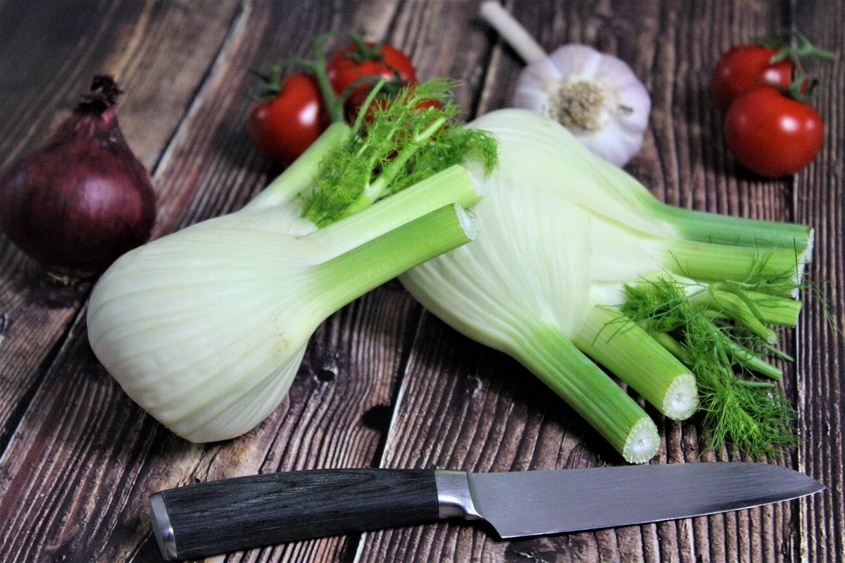 fenchel gesund abnehmen fenchel gesund abnehmen