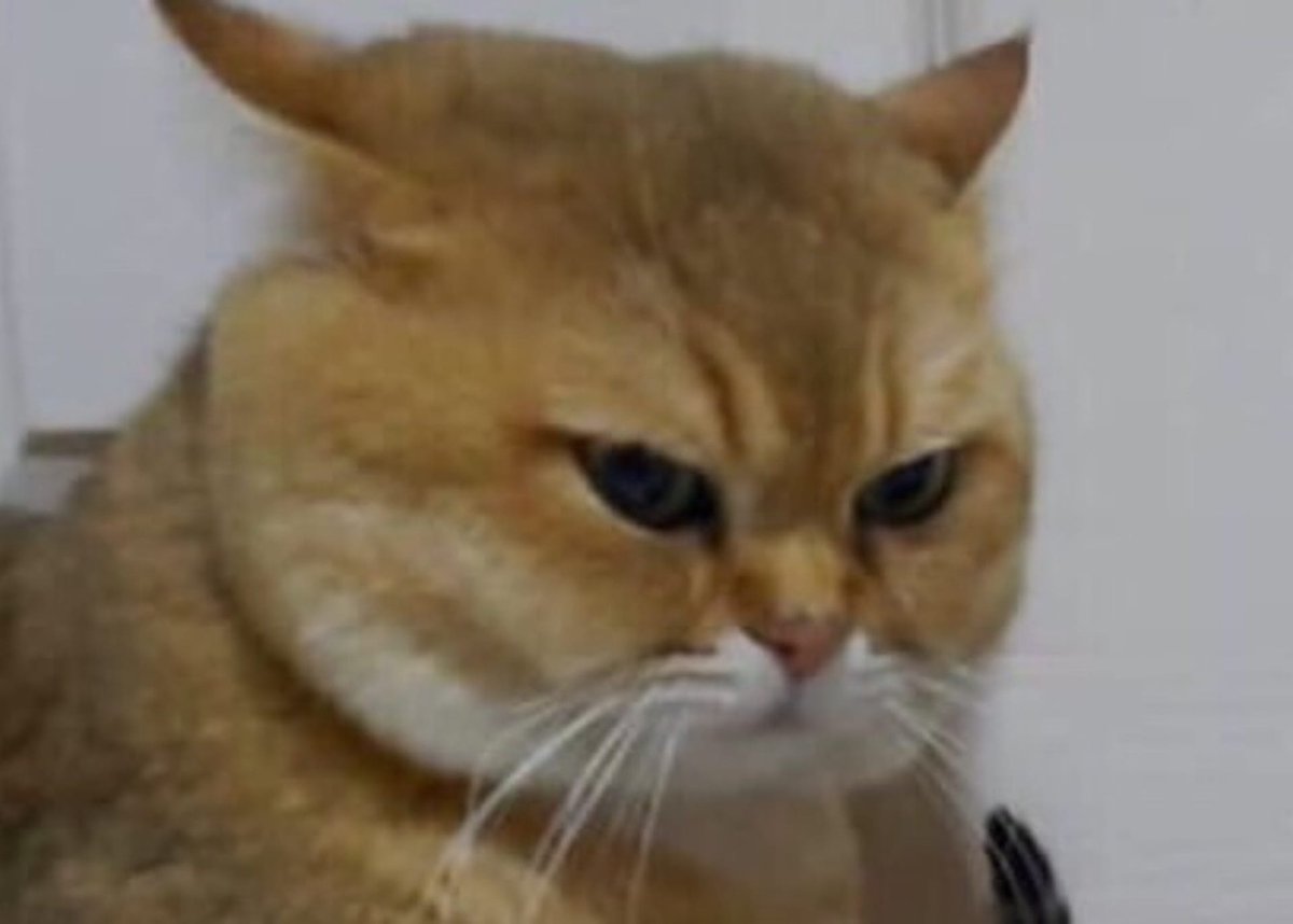 drunktwi's tweet image. 