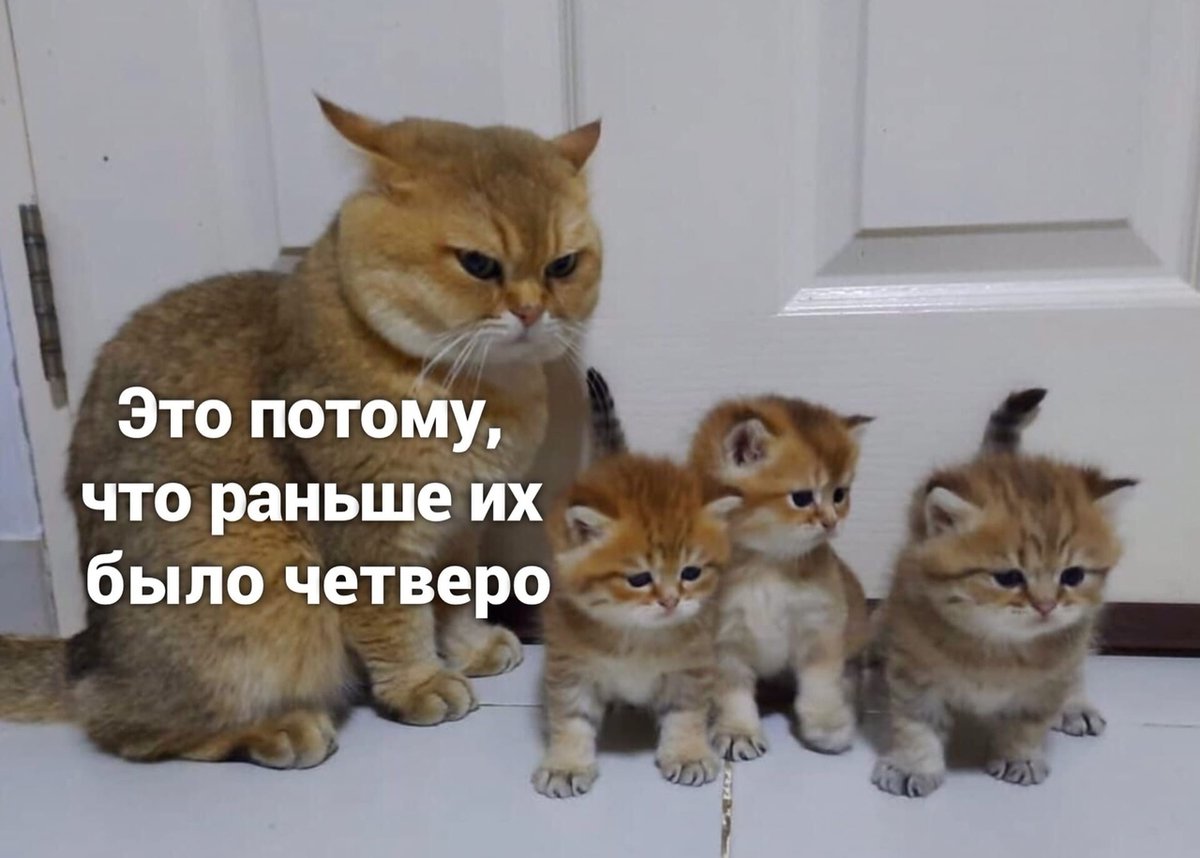 drunktwi's tweet image. 