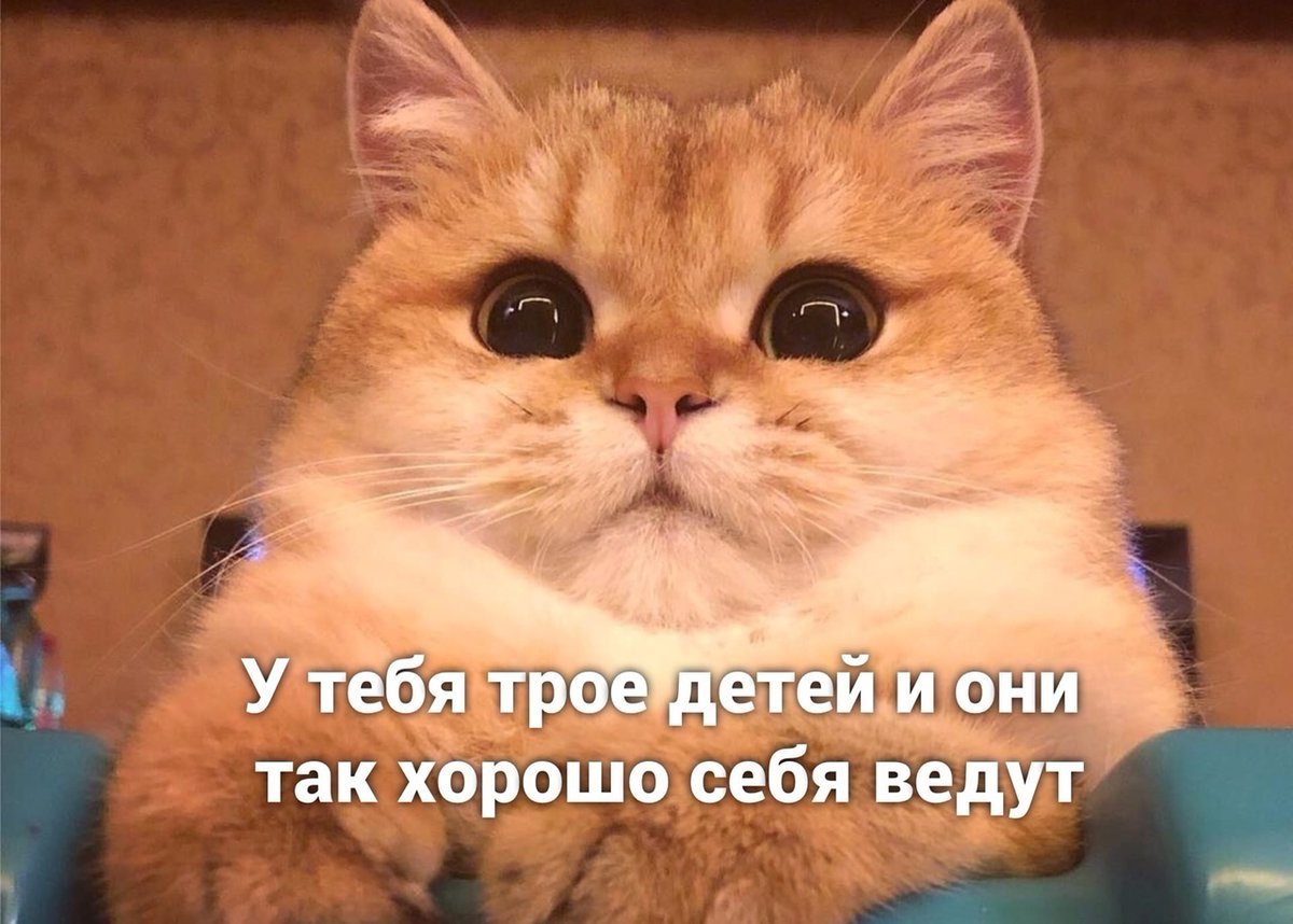 drunktwi's tweet image. 