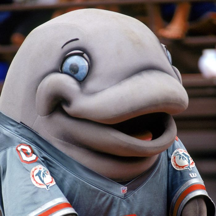 In 1995 the NFL created mascots for teams called "Team NFL Heroes
