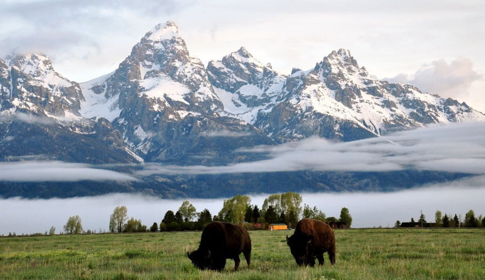 imgnaturaleza's tweet photo. Grand Tetons, Wyoming (Estados Unidos)🏔️🏔️ https://t.co/OGZSt8ox7S