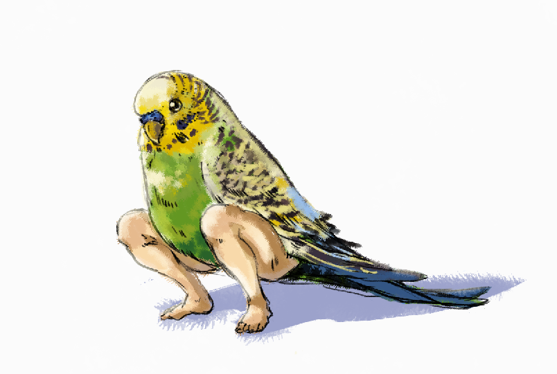 「セキセイインコ描いた 」|ろじーの成れ果てのイラスト