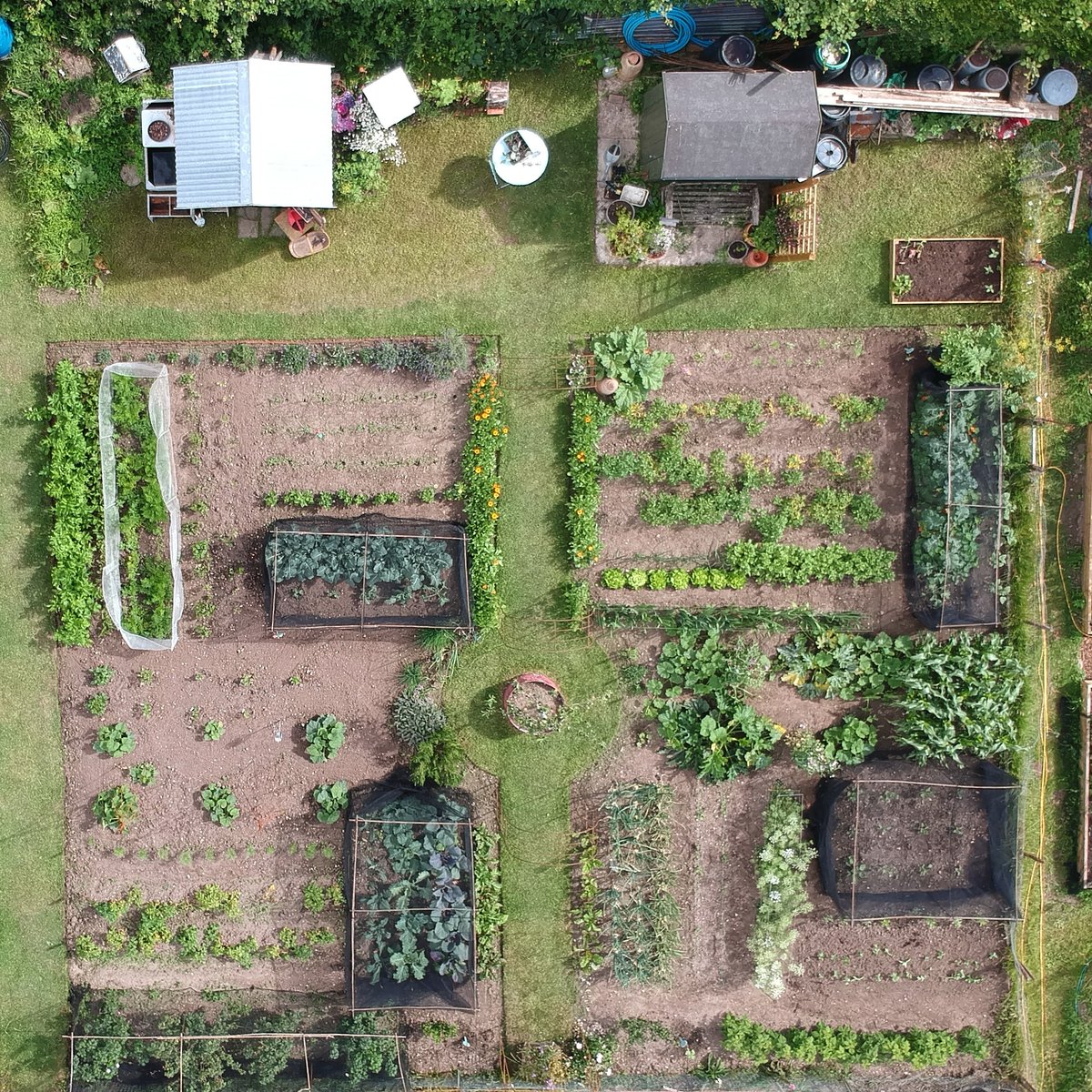 The allotment in June 💚 it's changed so much in the past 6 months and I can't wait to see what it looks like in the height of Summer! #allotment #mygarden #growyourown