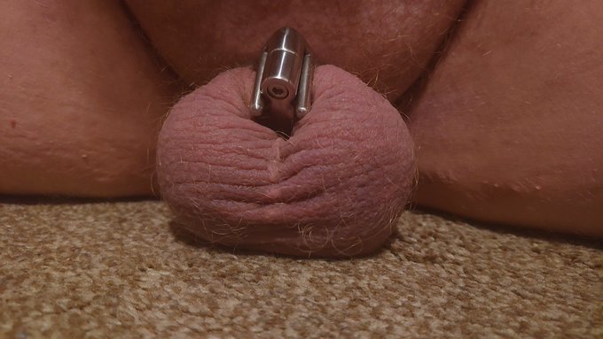 Getting used to my new cage :) #chastity #sissy #micropenis #sph #humiliation #horny #chastitycage #balls<a href="/tag/chastity"class="tags">#chastity</a><a href="/tag/sissy"class="tags">#sissy</a><a href="/tag/femdom"class="tags"><span>#femdom</span></a><a href="/tag/naked"class="tags"><span>#naked</span></a><a href="/tag/nude"class="tags"><span>#nude</span></a><a href="/tag/mondaymotivation"class="tags"><span>#mondaymotivation</span></a><a href="/tag/horny"class="tags"><span>#horny</span></a>