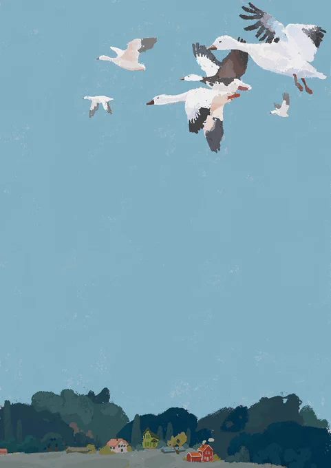 空 