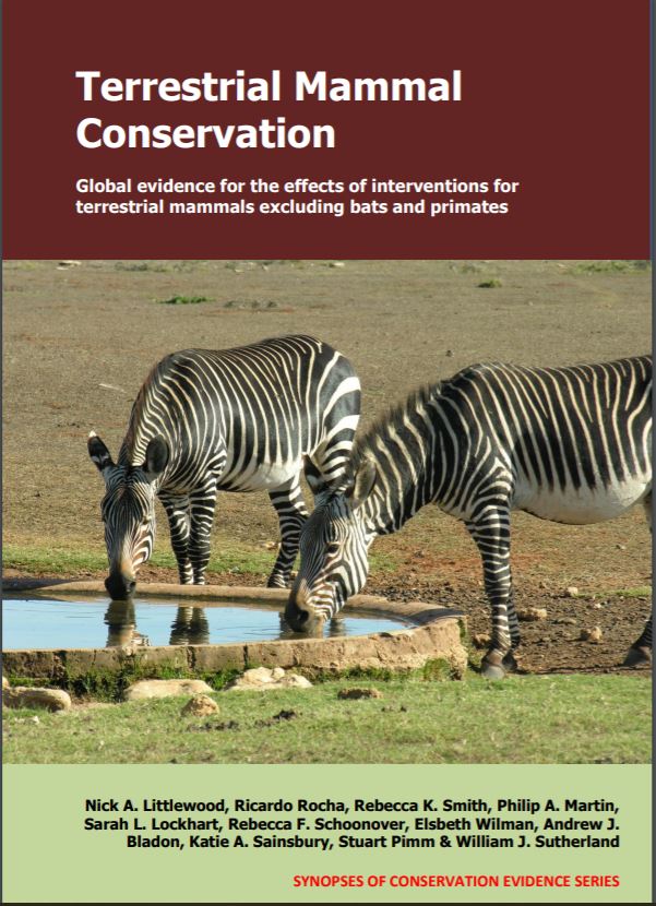 ConservEvidence's tweet photo. The terrestrial mammal synopsis is here! We have been working hard to collate the evidence on what works in #mammal #conservation 
Read or download the evidence for 294 actions from 935 studies for free: https://t.co/NTbU9VUyng
(and keep your eye our for parachuting beavers!) https://t.co/PSqtDeklN7