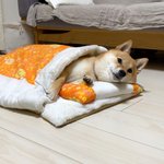 楽天で購入した猫用の布団!使っているのは…ワンちゃん!？w