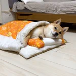 楽天で購入した猫用の布団!使っているのは…ワンちゃん!？w
