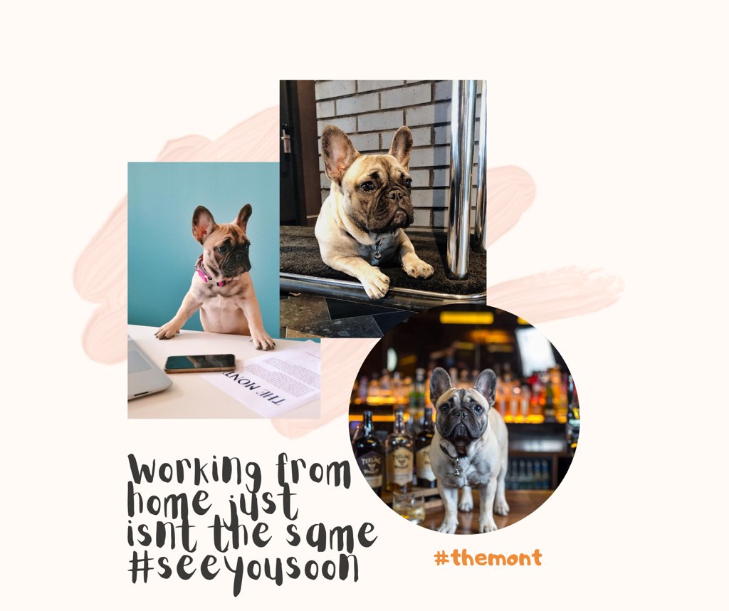 Best of luck to all the hotels and businesses re-opening around the country today! We can't wait to get back to work on August 10th! As Monty says, working from home just isn't the same! 

#Phase3 #Staycation #Dublin