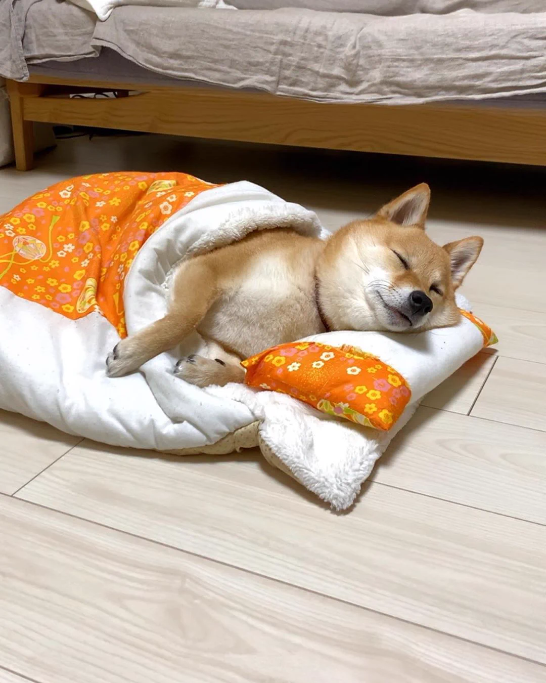 楽天で購入した猫用の布団！使っているのは…ワンちゃん！？ｗｗ