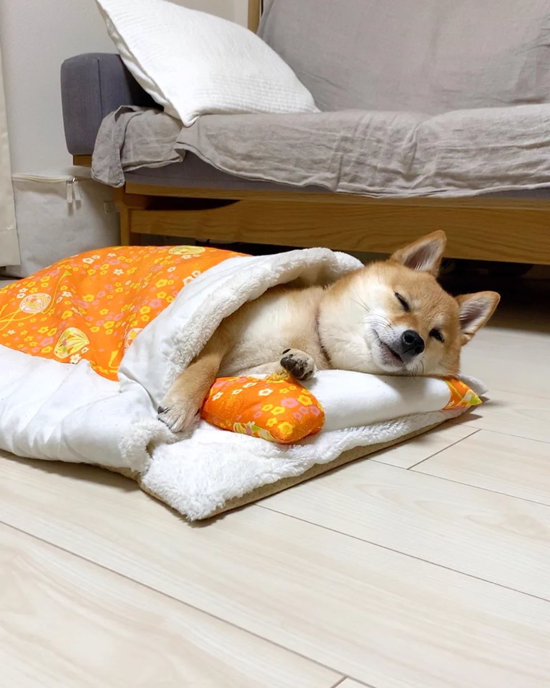 楽天で購入した猫用の布団！使っているのは…ワンちゃん！？ｗｗ