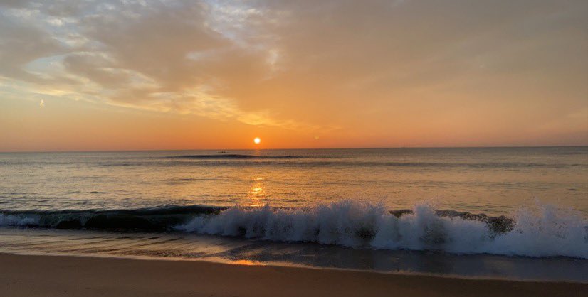 Robin Latchford tweet media