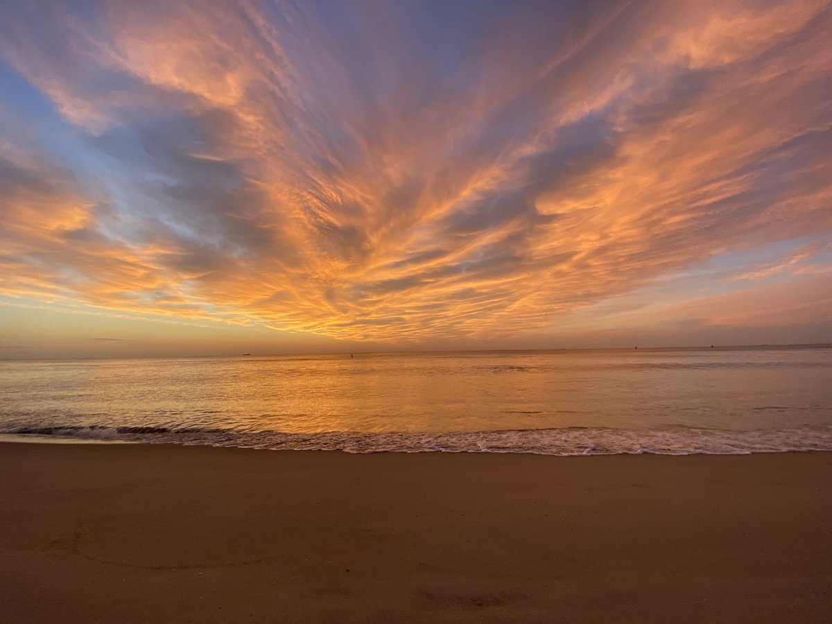 Robin Latchford tweet media