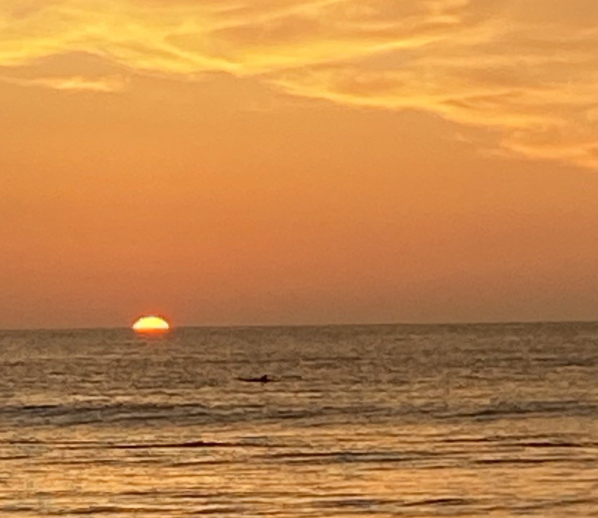 Robin Latchford tweet media