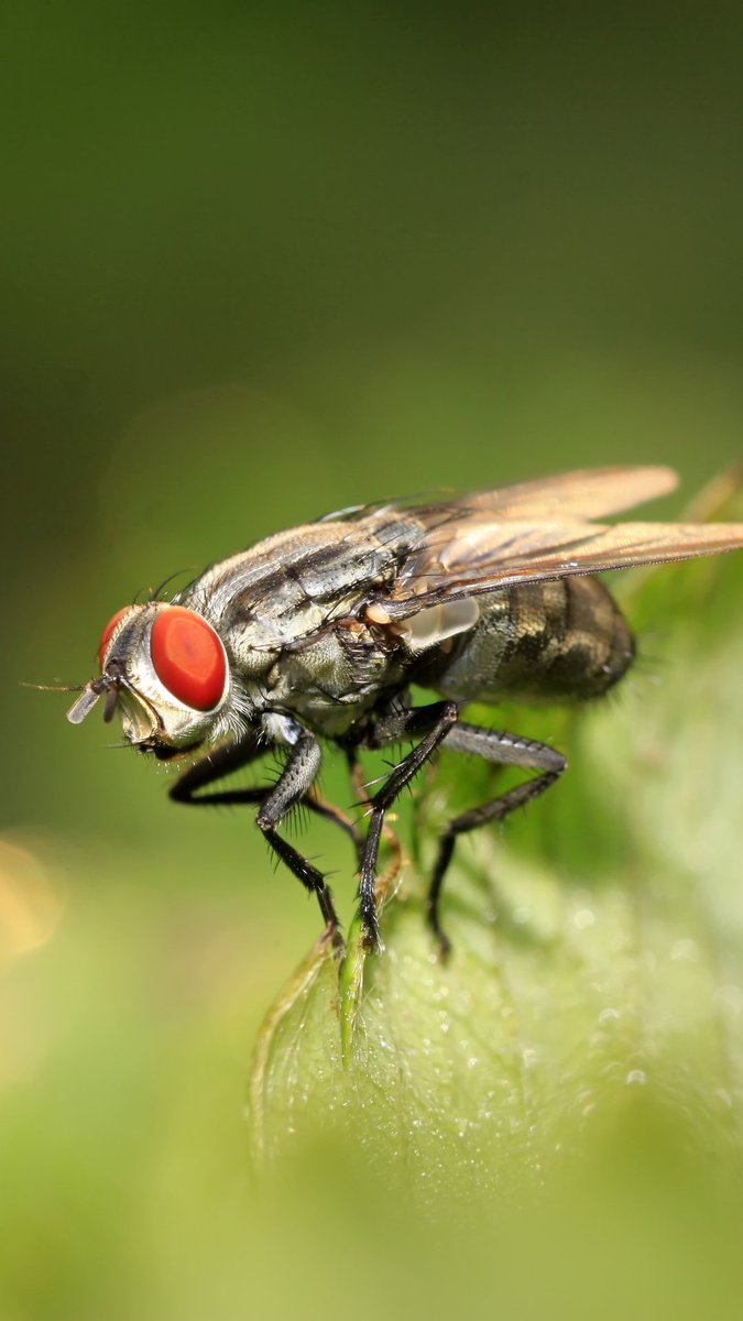 Khaled bel (@khaledb89350612) on Twitter photo 