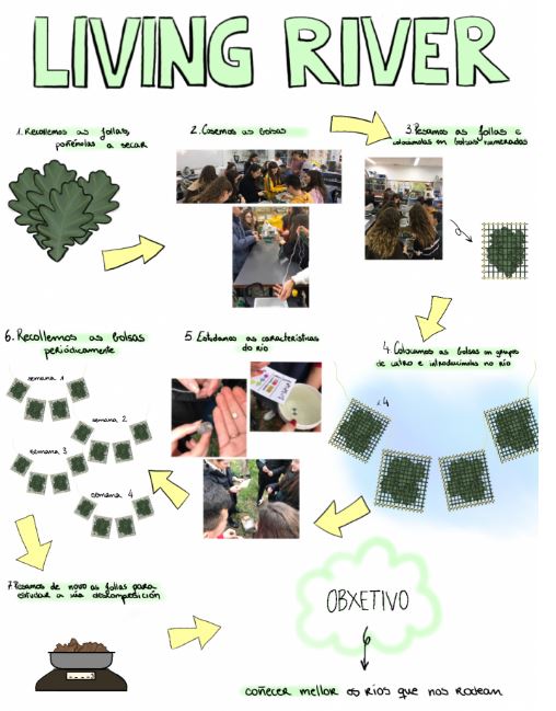 Teresa Ron student from IES de Melide (Spain) made a poster summarizing the stages of the scientific method carried out in the biochemical part of the project. #ForNature #ForRivers #LivingRiver #SaveRivers #savewater